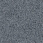 Grey Cypress