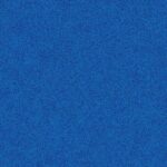 Cobalt Cypress